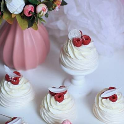 Павлова №0406