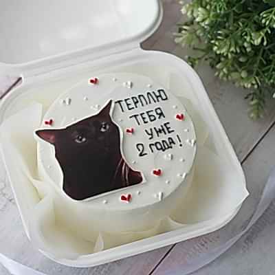 БЕНТО-ТОРТ с котом №9142