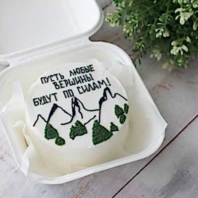 БЕНТО-ТОРТ Горы №9138