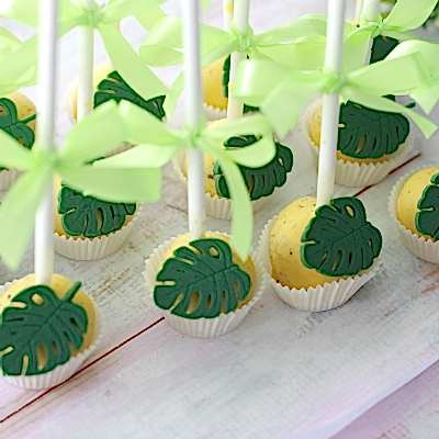 КЕЙКПОПСЫ с листьями №0372