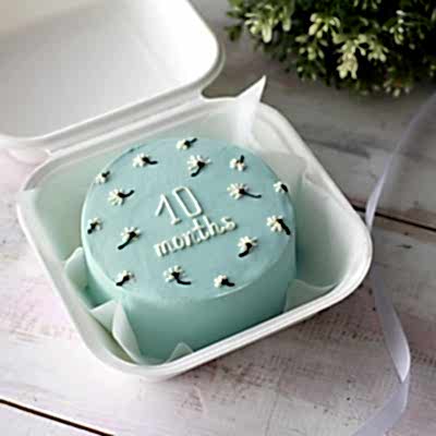 Бенто-торт 10 месяцев №9063