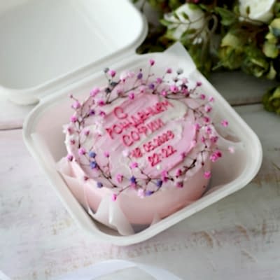 Бенто-торт на рождение №9066