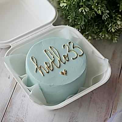 Бенто-торт Hello №9059