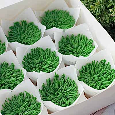 КАПКЕЙКИ трава №0553