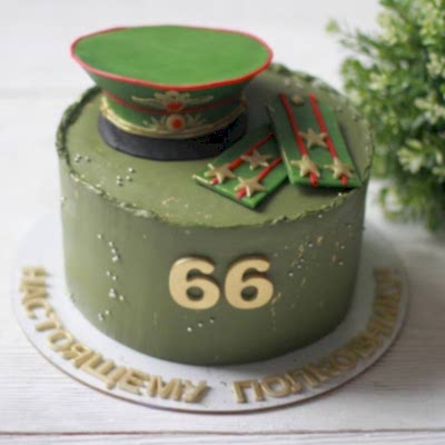 ТОРТ для полковника №2234